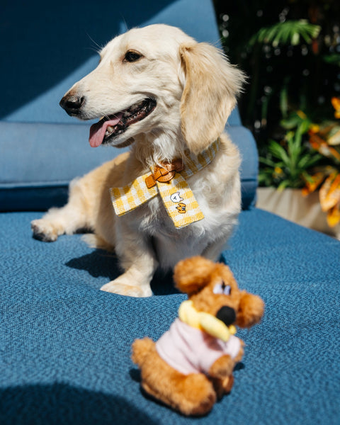 HAPPY DOG SCARF