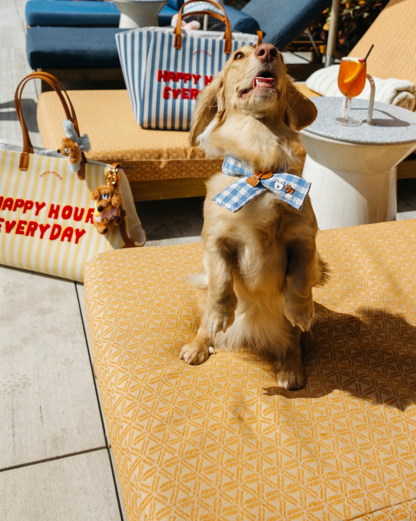 HAPPY DOG SCARF